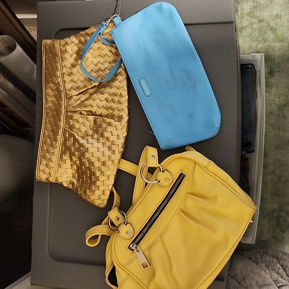 Lot of 3 Small Purses and Clutches